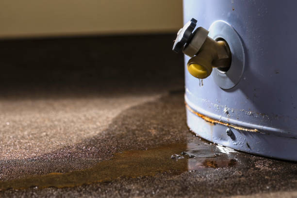 Best Water damage restoration specialists  in Pine Ridge, FL