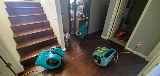 Best Basement water damage restoration  in Pine Ridge, FL