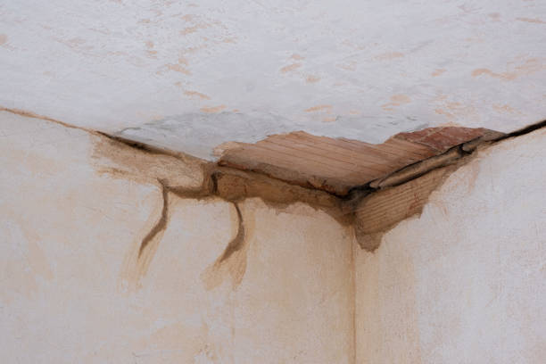 Best 24/7 water damage repair  in Pine Ridge, FL