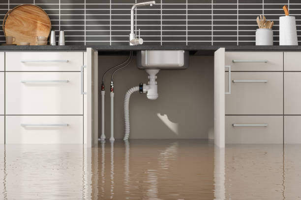 Best Local water damage restoration  in Pine Ridge, FL