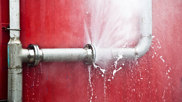  Pine Ridge, FL Water damage restoration Pros